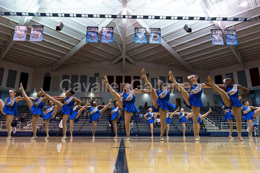 Blue Belles Halftime 49.jpg